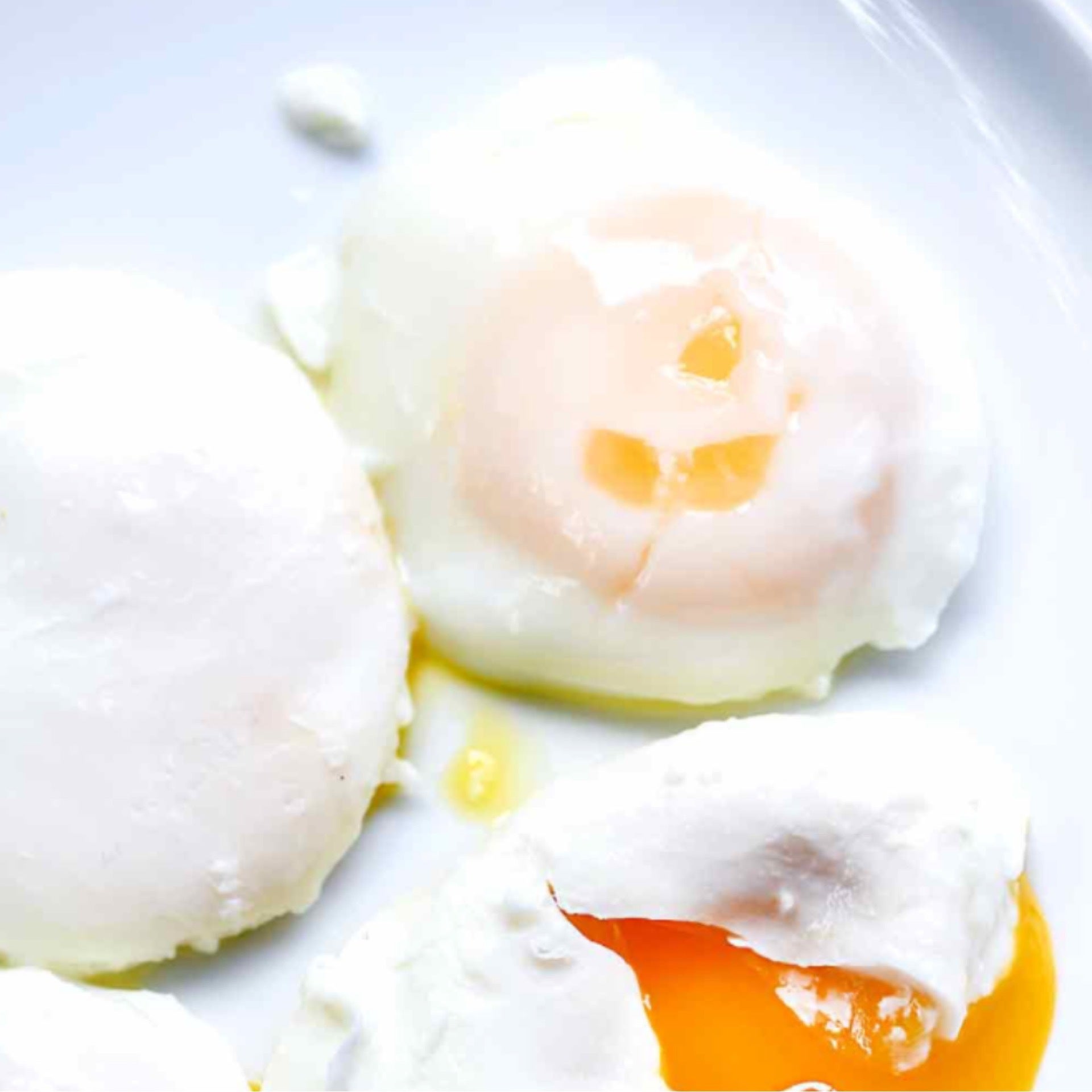 Poached Egg